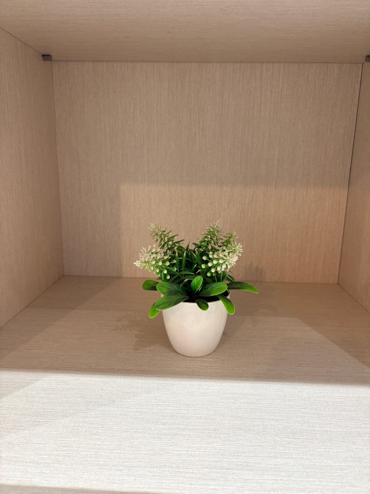 Macetero mini bloom