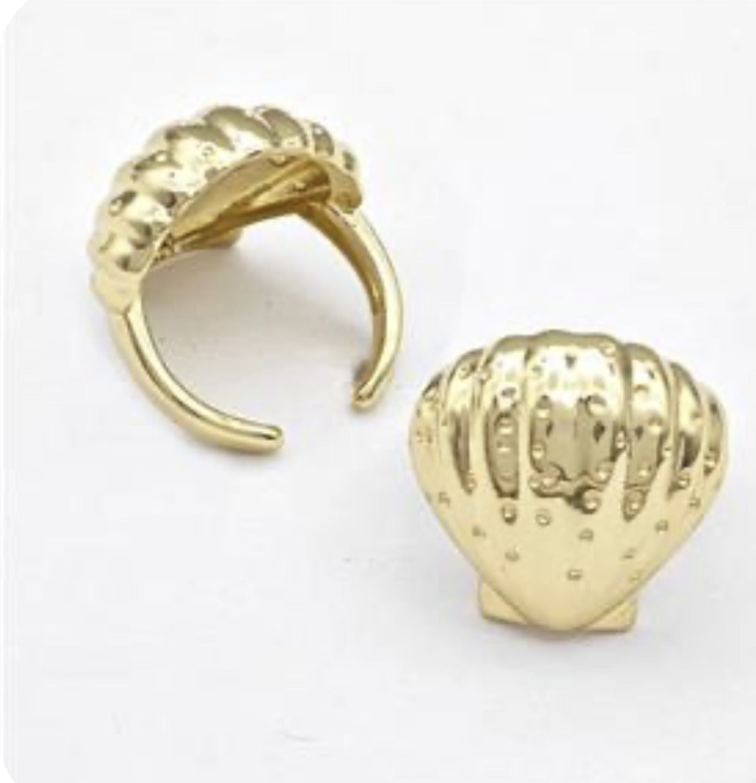Anillo Concha