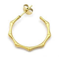 Stainless Steel Studs Earrings Bamboo Gold Plated