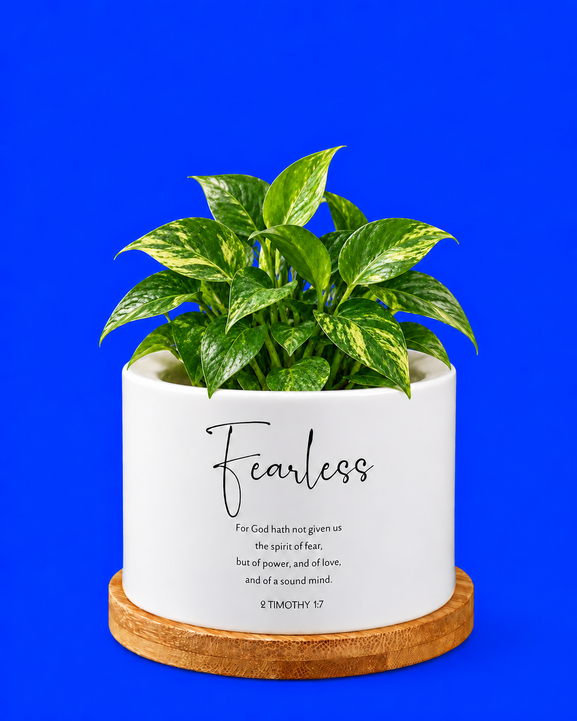 Macetera Fearless