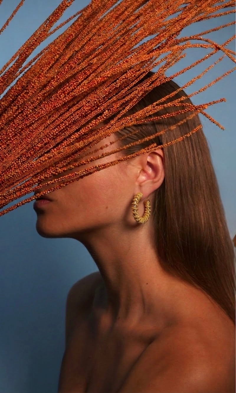 Argollas con enredadera