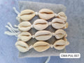 Pulseras conchas