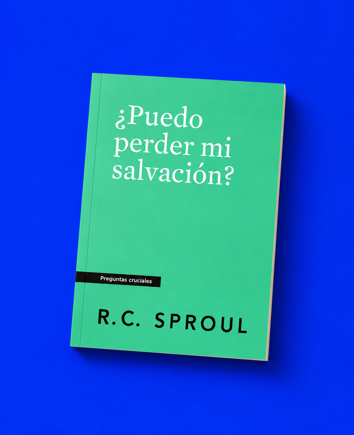 Libro ¿Que significa la parabola de Jesus?