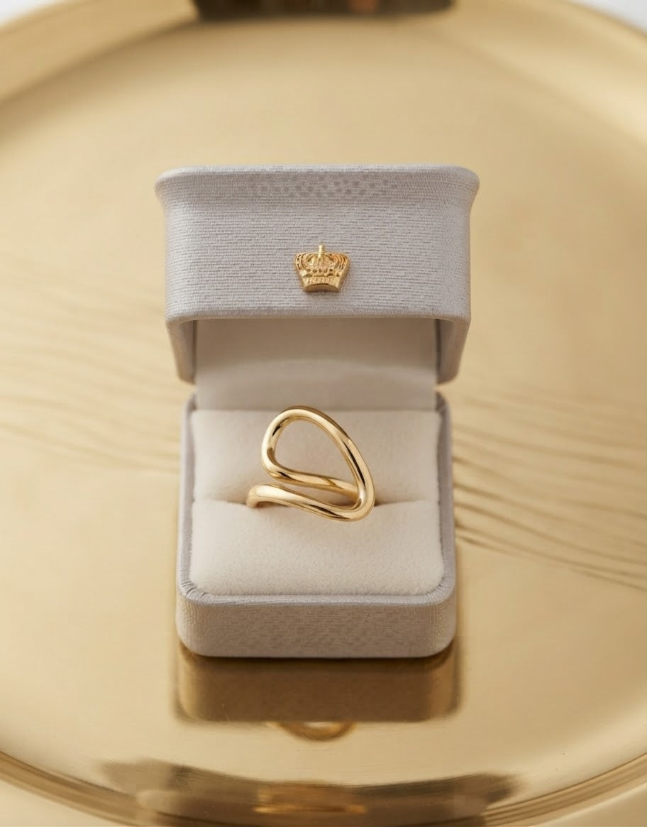 ANILLO ABSTRACTO