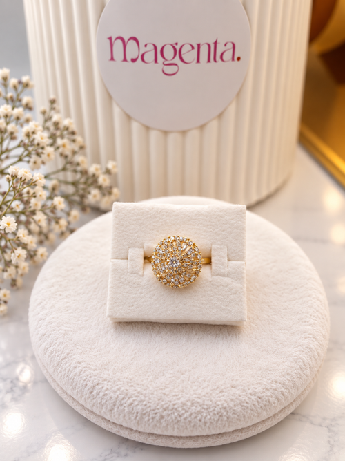 Anillo 240A