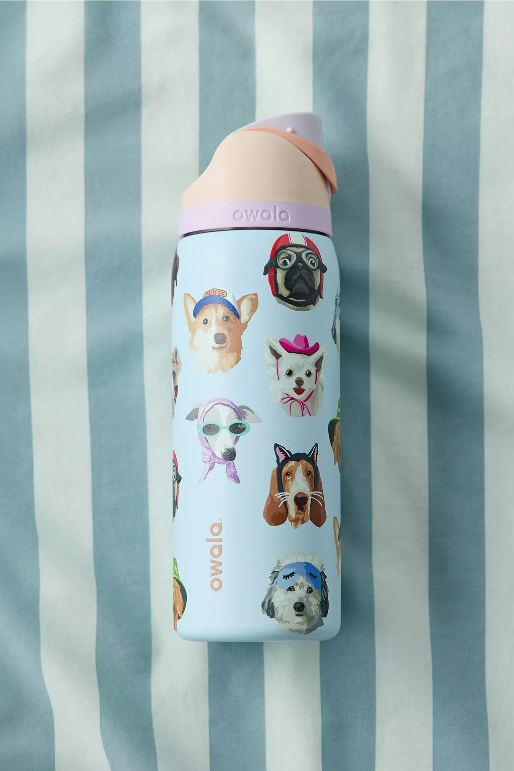 Dog Collage